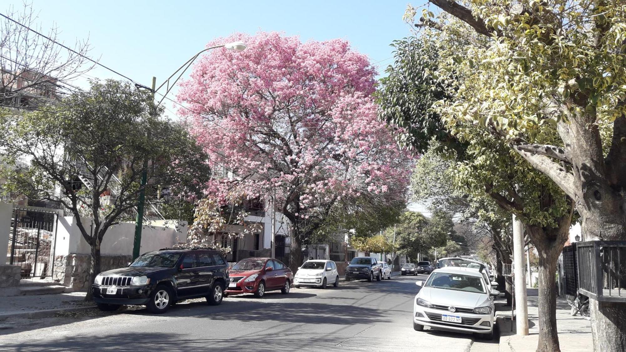 Apartamento Departamentos Av. Uruguay - *